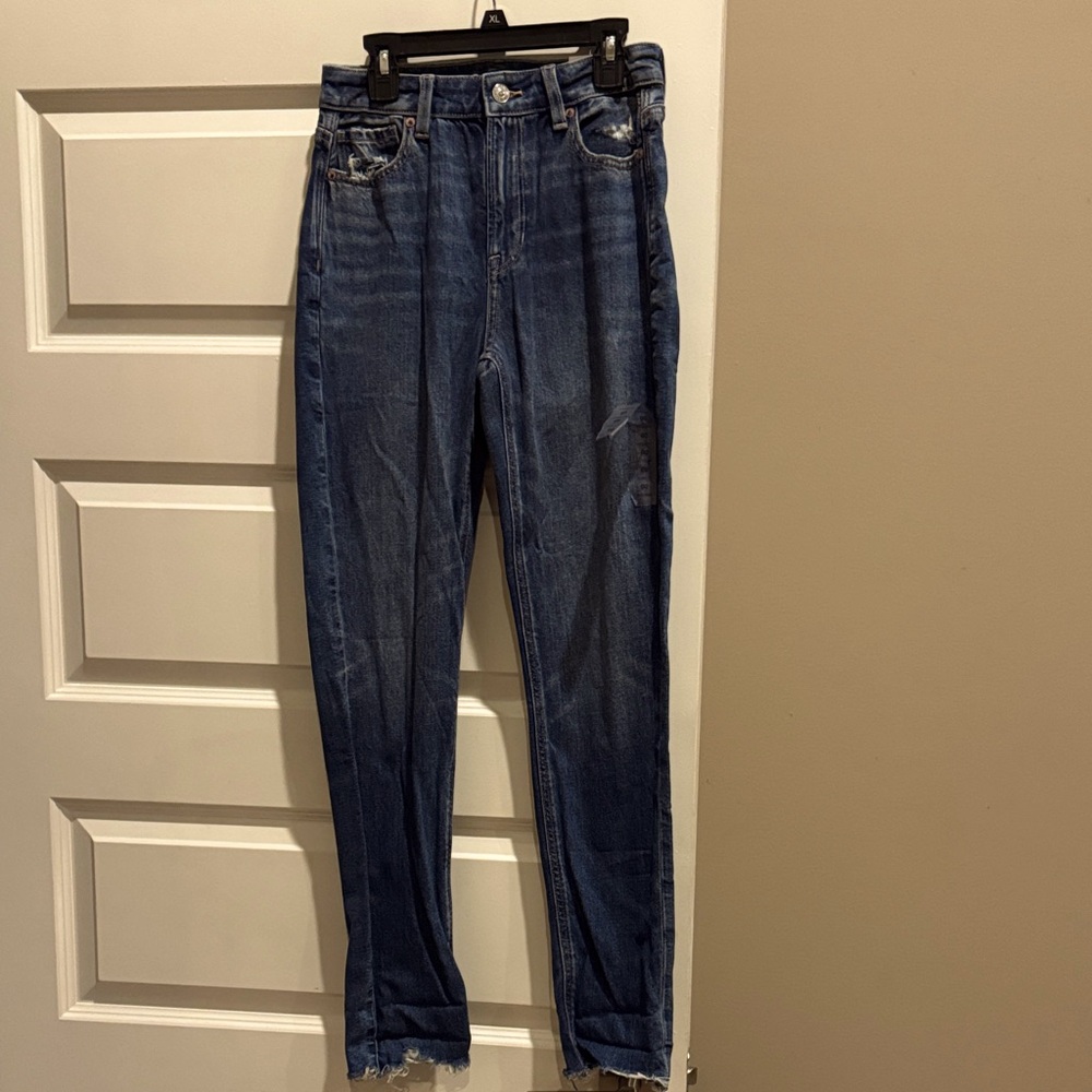 American Eagle Outfitters Strigid Mom Jeans